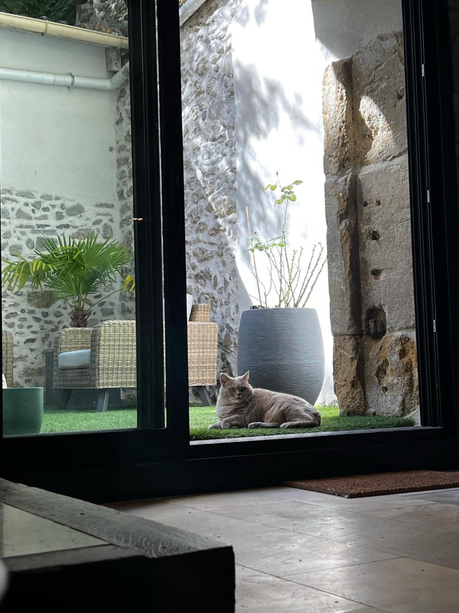 ミルポワ Sci Les Remparts De Mirepoix Bed & Breakfast エクステリア 写真