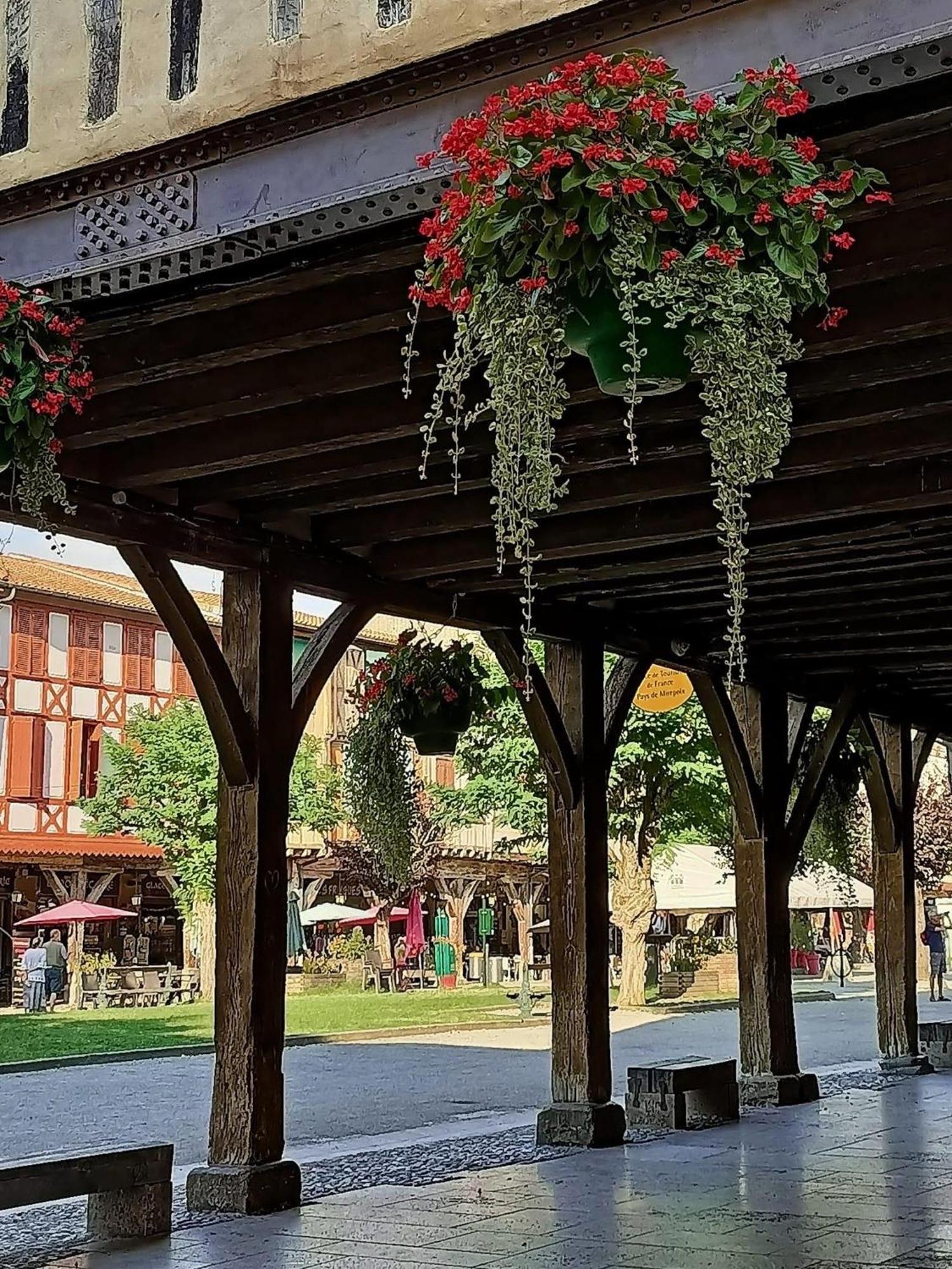 ミルポワ Sci Les Remparts De Mirepoix Bed & Breakfast エクステリア 写真