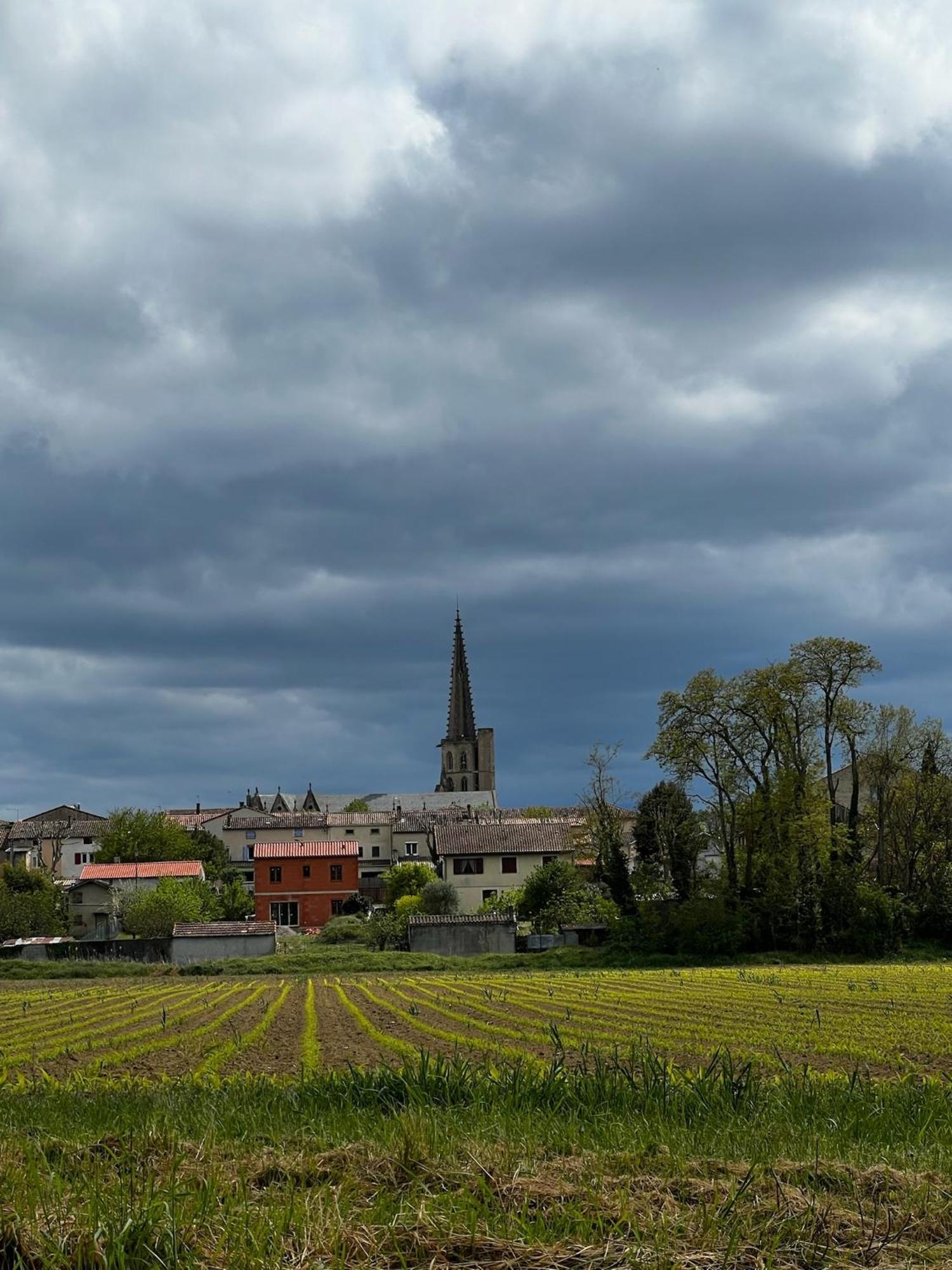 ミルポワ Sci Les Remparts De Mirepoix Bed & Breakfast エクステリア 写真