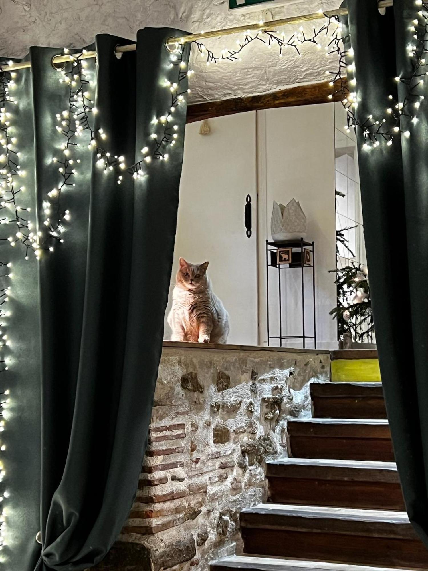 ミルポワ Sci Les Remparts De Mirepoix Bed & Breakfast エクステリア 写真