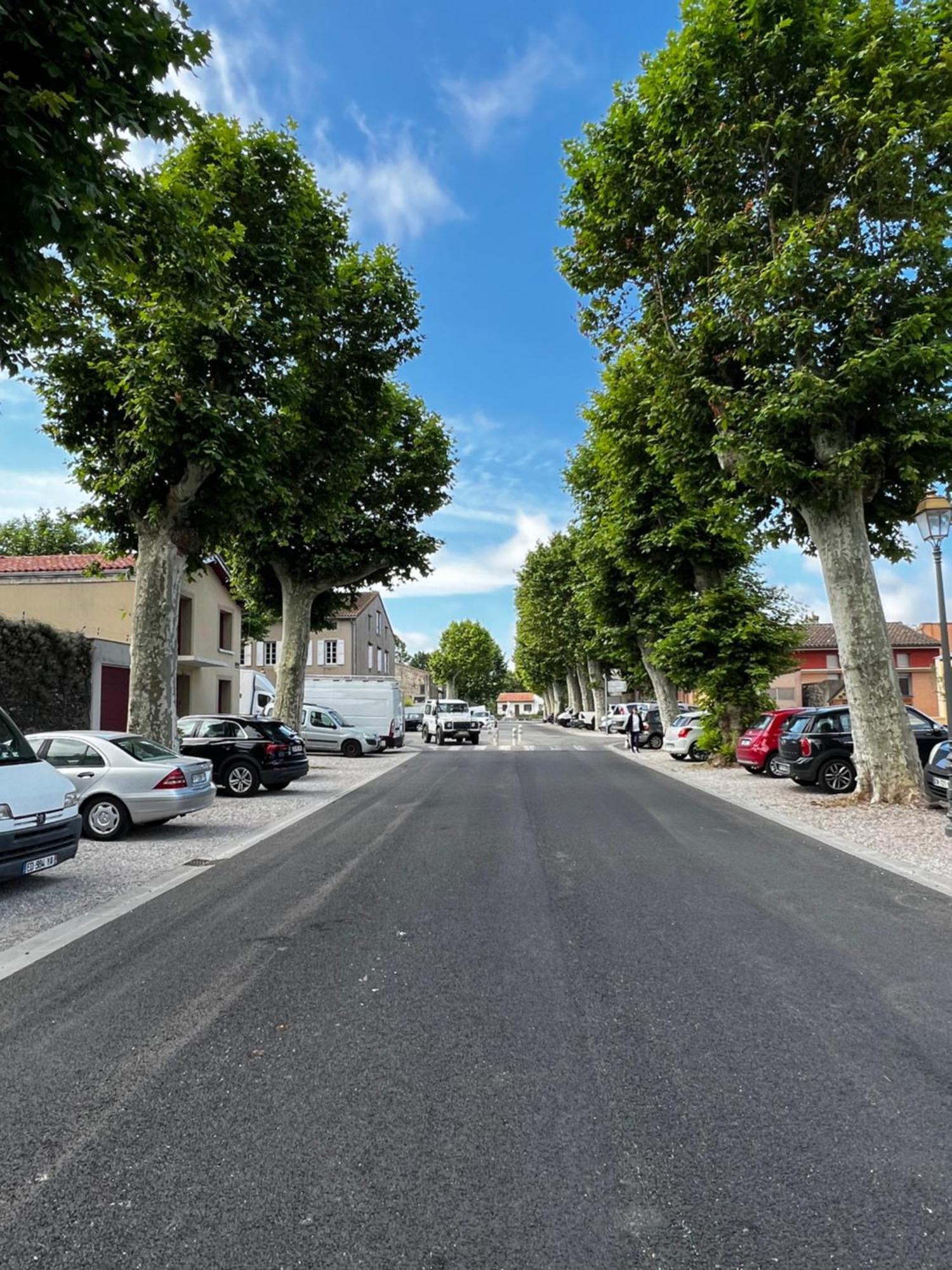 ミルポワ Sci Les Remparts De Mirepoix Bed & Breakfast エクステリア 写真
